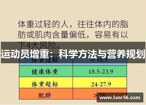 运动员增重：科学方法与营养规划