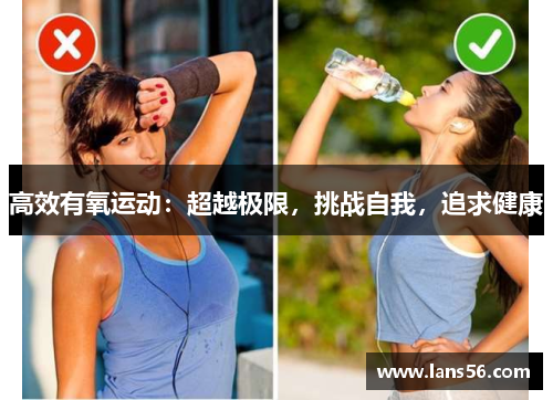 高效有氧运动：超越极限，挑战自我，追求健康