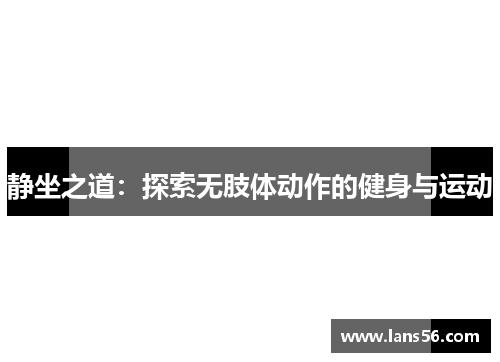静坐之道：探索无肢体动作的健身与运动