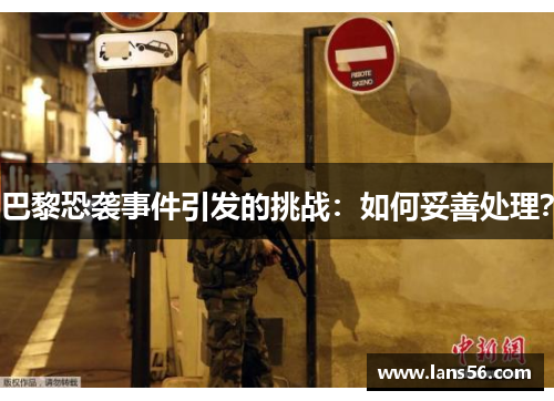 巴黎恐袭事件引发的挑战：如何妥善处理？